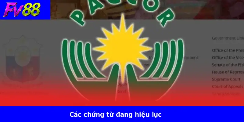 Các chứng từ đang hiệu lực